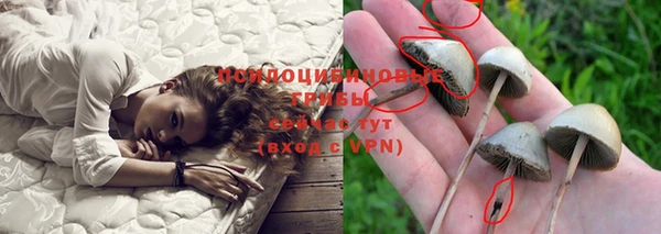 трава Алексеевка